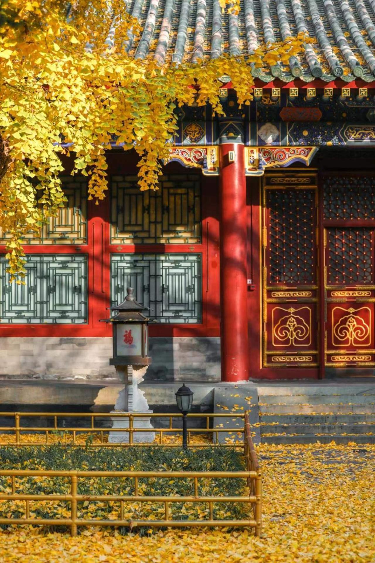 Nostalgia Hotel Near Prince Gong'S Mansion- Beihai Park, Tian'Anmen Square, Nanluoguxiang Hutong, Huguosi Hutong Snack Street, 5 Minutes Walk Away From Ping'Anli Subway Station, Free Ice Cream And Laundry Service,English Communication Well Pékin  Extérieur photo